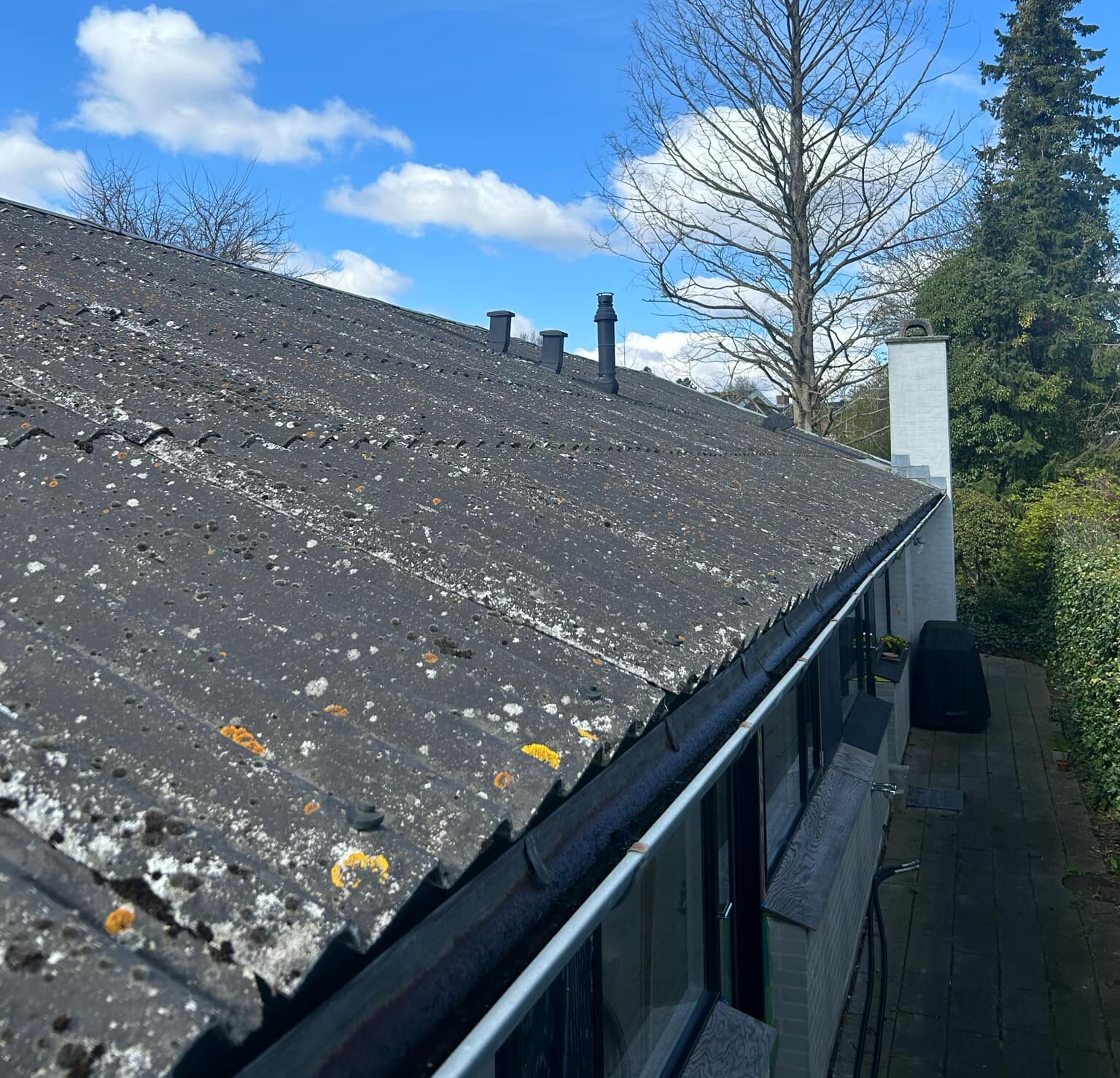 Billede af Asbesttag