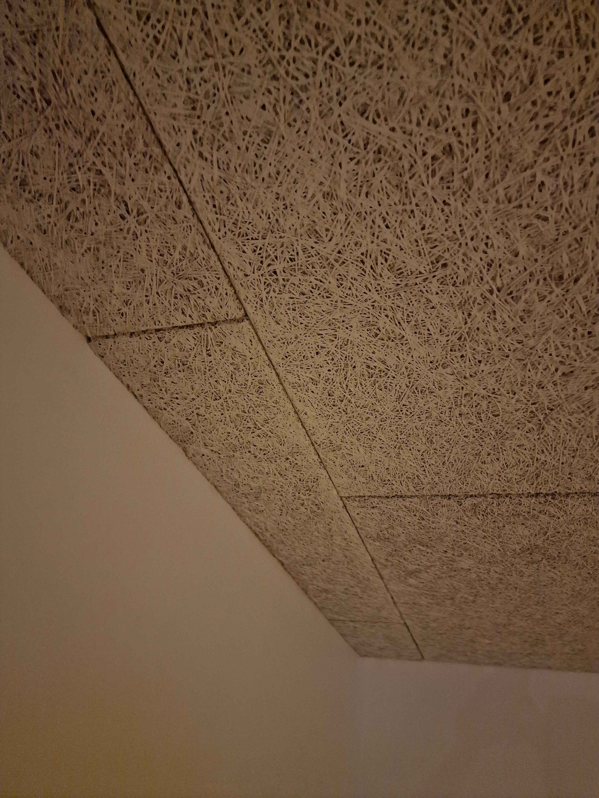 Fibrotech loftrenovering